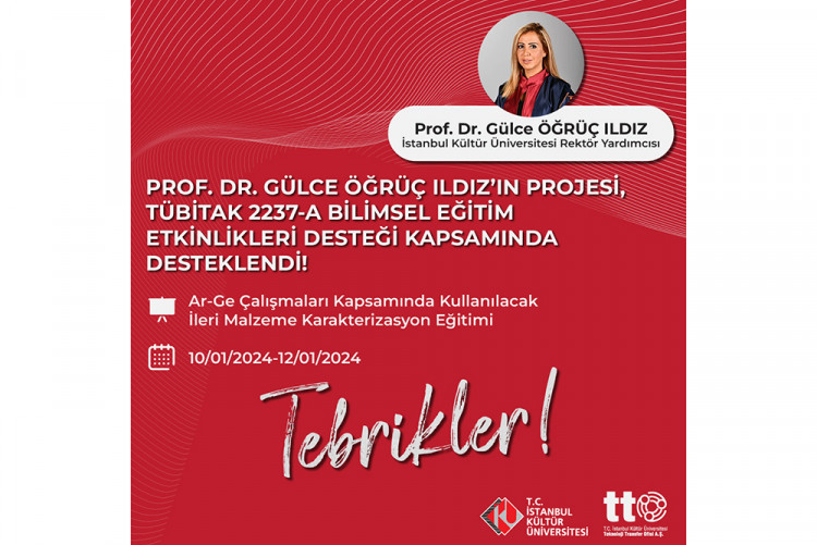 Rektör Yardımcımız Prof. Dr. Gülce Öğrüç Ildız Projesi TÜBİTAK Tarafından Desteklenecek