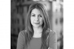 Mimar Dicle Hökenek